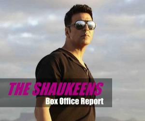 The Shaukeens Collection