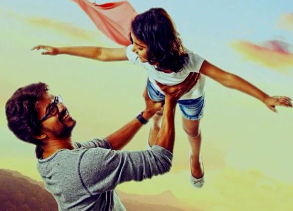 theri-box-office-collection