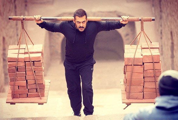 Sultan Box Office Collection