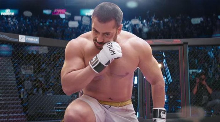 Sultan Box Office Collection