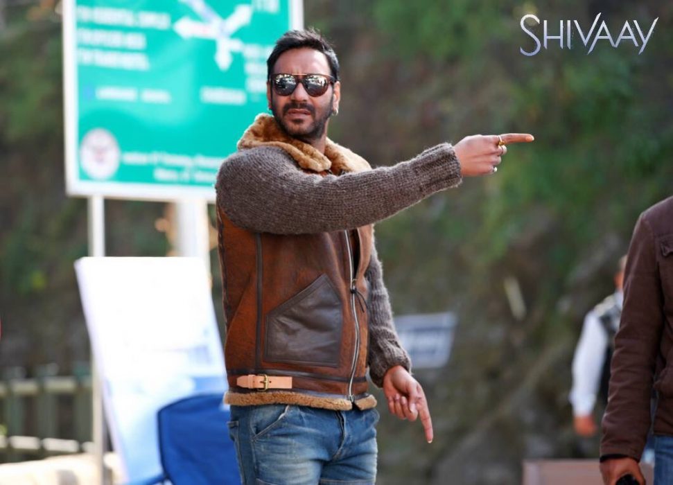 shivaay 16th day collection, shivaay 3rd saturday collection, shivaay box office collection, shivaay total collection, shivaay 16 days total collection