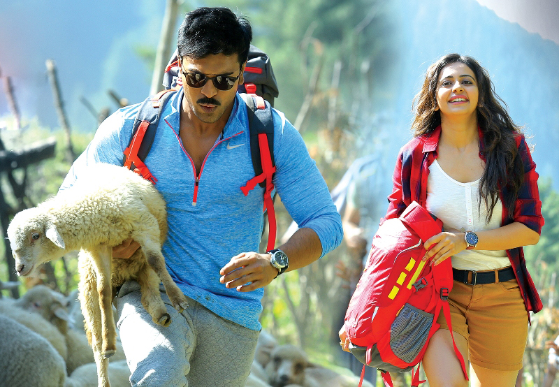dhruva 1st day collection, dhruva first day collection, dhruva friday collection, dhruva box office collection, dhruva opening day collection, dhruva worldwide collection, dhruva total collection