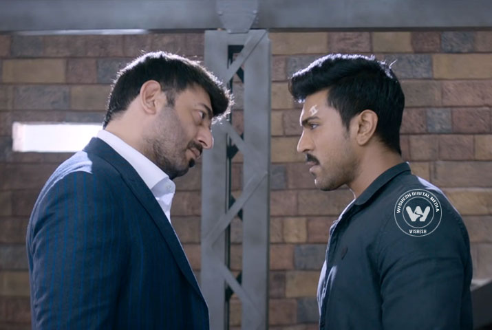 dhruva 3rd day collection, dhruva third day collection, dhruva sunday collection, dhruva box office collection, dhruva total collection, dhruva 3 days total collection