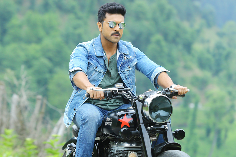 dhruva 5th day collection, dhruva fifth day collection, dhruva box office collection, dhruva tuesday collection, dhruva total collection, dhruva 5 days total collection