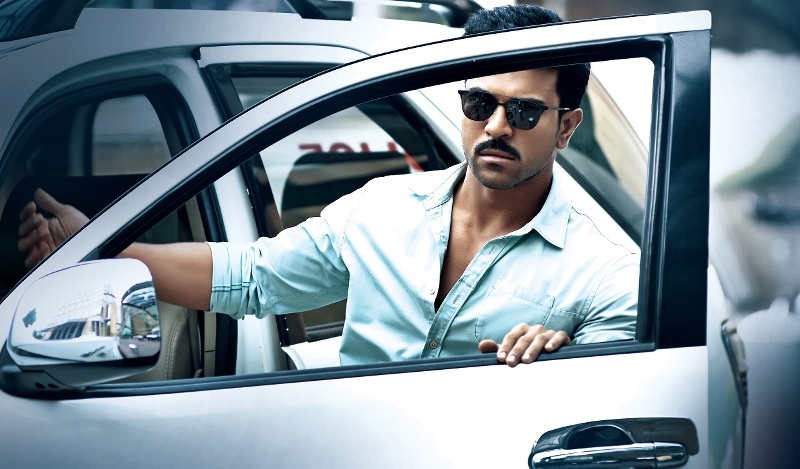 dhruva 6th day collection, dhruva sixth day collection, dhruva wednesday collection, dhruva box office collection, dhruva total collection, dhruva 6 days total collection