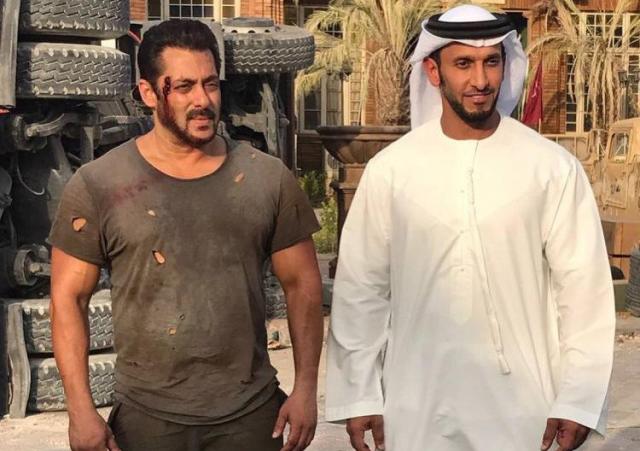 15th day box office collection of tiger zinda hai