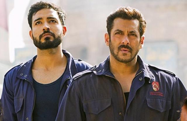 Tiger Zinda Hai 37 Days Total Collection