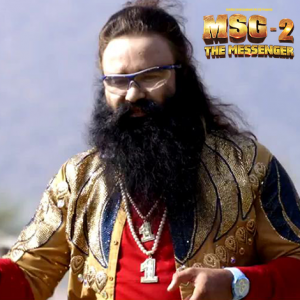 msg 2 total collection
