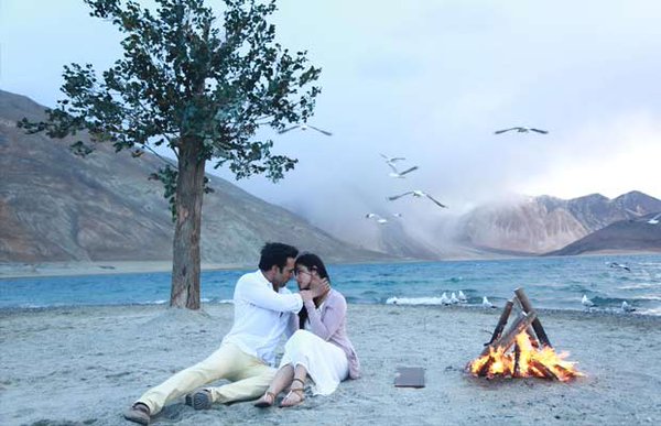 Sanam Re Box Office Collection