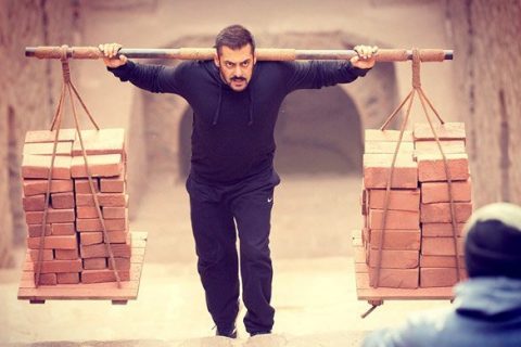 Sultan | Box Office Collection - India Box Office Report, Movie Review