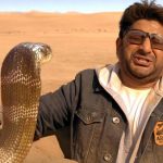 Total Dhamaal 12th Day Box Office Collection, Dhamaal 3 Earns 127 Crores by 2nd Tuesday