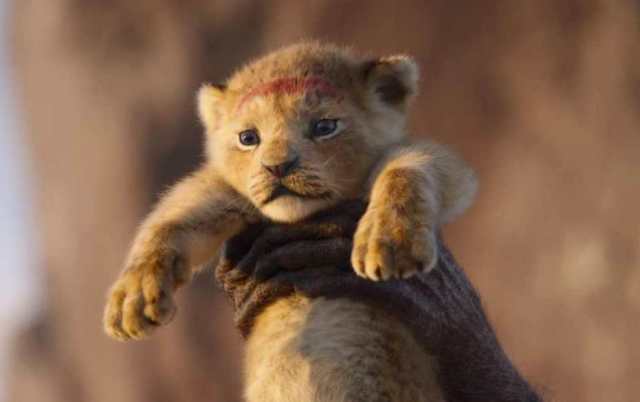 The Lion King 3rd Day Box Office Collection, Crosses 50 Crores in 1st ...